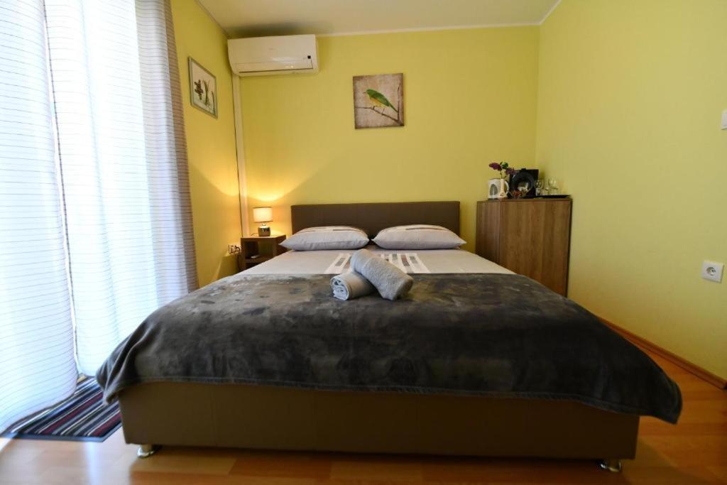 Apartments Vila Miranda 沃迪切 外观 照片
